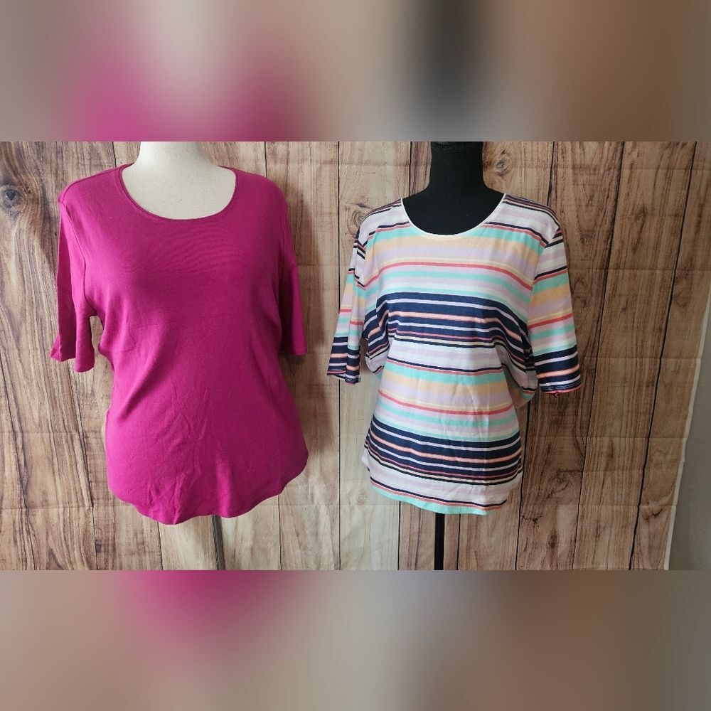 New Cotton Round Neck Tees Set Of 2 Plus Size 3X
